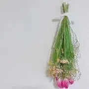 hmの画像