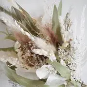○ ○ susu .