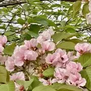 断捨離中@の画像