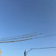 ぴょんの画像