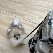 みるきちの画像