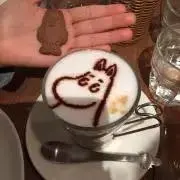 もちこの画像