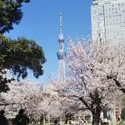 もんこちゃんの画像