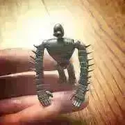 ポンスケの画像