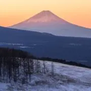 アイスの画像