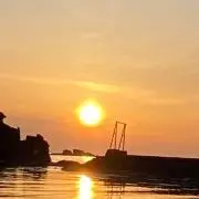 たろうの画像