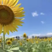 あーの画像