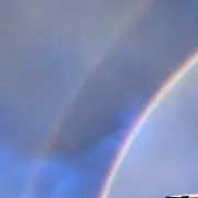 あんこの画像