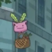 ぽこ