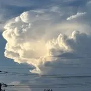 睦月