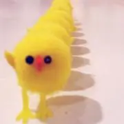 N A T U ☆の画像