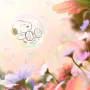 あくびちゃん。の画像