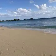 ふっふーの画像