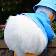 スイカ