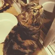 ゆきこの画像