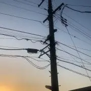 しゃも
