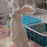 モノ