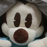 しょこたんの画像