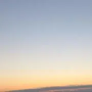 ゆの画像