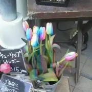 ちぃの画像