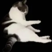 F#7b13の画像
