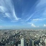 しゃんしゃんの画像