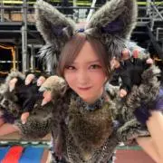 とらの画像