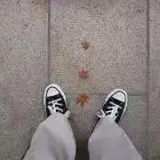 ymの画像