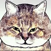 omcatの画像