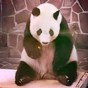 パンダ