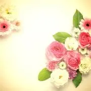 YURIKOの画像