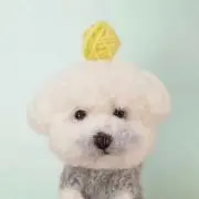 skstrの画像
