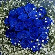 SKY☆