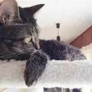 ゆかの画像