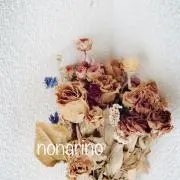 nonarinoの画像