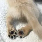 こはるびよりの画像