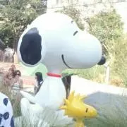 カズの画像
