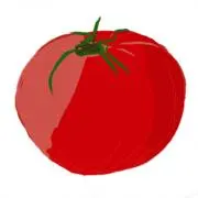 ももとまと【お値下げ可】【プロフ必読】の画像