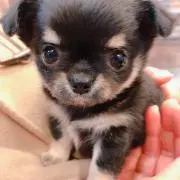 ゆー☆の画像