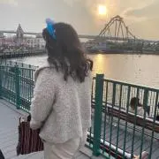 マリーゴールドの画像