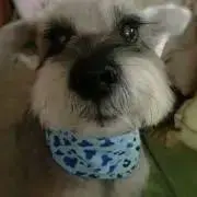 ☆元アパレル店員☆の画像