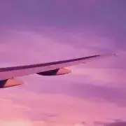 アッキの画像