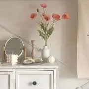 SMの画像