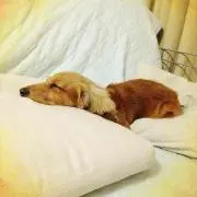ともっ。
