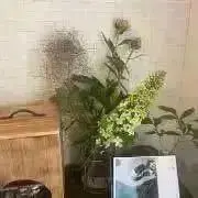 mi---ho プロフ確認お願い致します