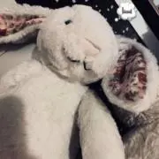 イちゃん