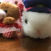 たっくるの画像