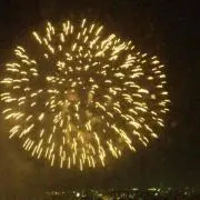 ぽんの画像