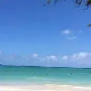★次回発送7月2日★colon39の画像