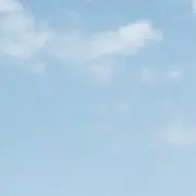 S(プロフ必読)の画像